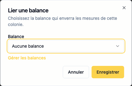 Fenêtre de liaison d’une balance à une colonie